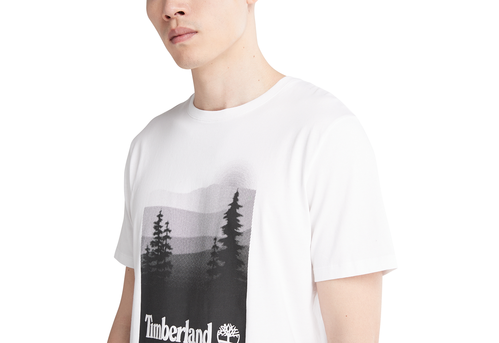 Timberland Îmbrăcăminte Graphic Print Tee
