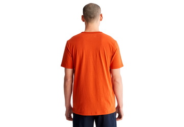 Timberland Îmbrăcăminte Ss Front Grphic Tee